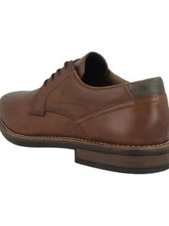 Businessschuhe 13523 in braun