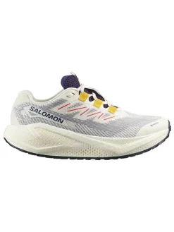 Laufschuhe "Aero Blaze 3 GRVL GTX" in Beige/ Grau