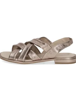 Leder-Sandalen in Taupe