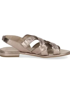 Leder-Sandalen in Taupe