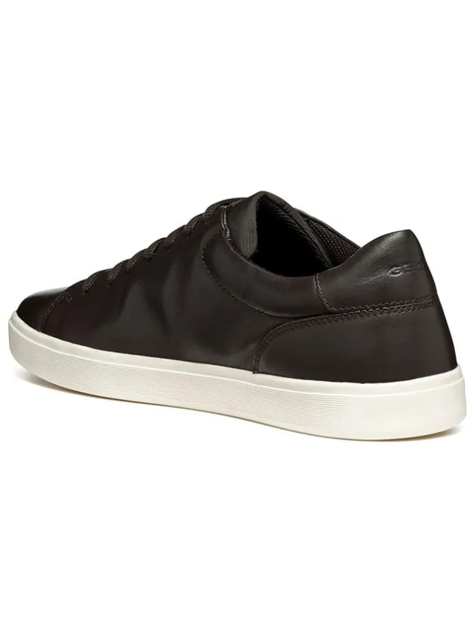 Leder-Sneakers "Avola" in Schwarz