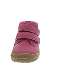 Saturnus Lauflern Rosa