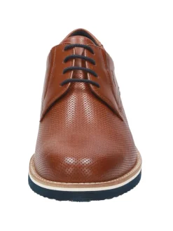 Schnürschuh Dilip-701-H in braun