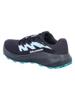 Wanderschuhe ALPHAGLIDE GTX W in Grau